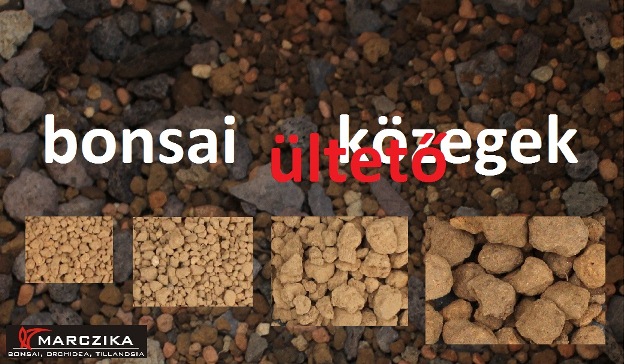 bonsai ültetésére alkalmas bonsai ültetö közeg az akadama